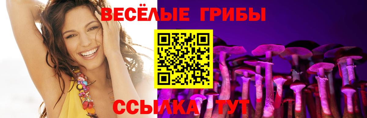 Вышний Волочёк  Кокаин  Как найти закладки?  Экстази  Вход с VPN  Марихуана  Меф МЯУ МЯУ кристаллы  ГАШИШ  А ПВП СОЛЬ кристаллы  МЕТАДОН 